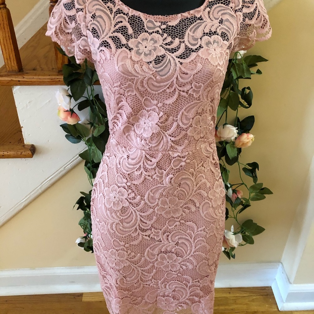 Blush Laced/Crochet Midi Dress - Picture 8 of 12